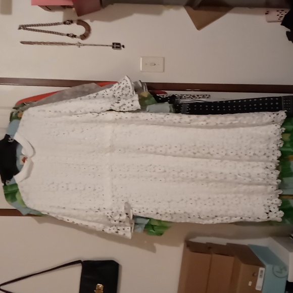Dainty Jewells Dresses & Skirts - Dainty Jewells Dandelions Wish Lace Dress XXL